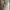 Sorridere Coquette Blouse Wanita white cream photo 4