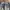 Japanese brand Vintage Streetwear Jeans Pria navy photo 4
