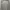 Converse Casual Trench coat Pria gray photo 1