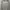 Converse Casual Trench Coat Pria Gray