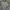Converse Casual Trench Coat Pria Gray