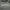 Converse Casual Trench coat Pria gray photo 3