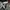 Converse Casual Trench coat Pria gray photo 4