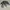 Tornado Mart Y2K Avant Garde Formal shirt Pria white photo 3