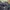 Outdoor Research Streetwear Sportswear Sweatpants & Joggers Pria multicolor gray photo 6