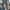 Outdoor Research Streetwear Sportswear Sweatpants & Joggers Pria multicolor gray photo 2