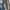 Outdoor Research Streetwear Sportswear Sweatpants & Joggers Pria Multicolor Gray
