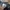 Outdoor Research Streetwear Sportswear Sweatpants & Joggers Pria multicolor gray photo 4