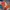 Streetwear Sportswear Sweatpants & Joggers Pria multicolor orange photo 1