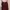 Luxury Cami top Wanita burgundy red photo 1
