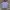 H&M Y2K Casual Crop Top Wanita White Blue