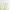 Japanese brand Fairy Coquette Summer dress Wanita cream photo 5