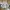 Nike Air Jordan Casual Sneakers Pria cream photo 5