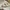 Nike Air Jordan Casual Sneakers Pria cream photo 6