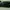 Futurist Pria green photo 4