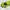 Futurist Pria Green