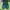 Adidas Luxury Casual Sneakers Pria green photo 2