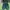 Adidas Luxury Casual Sneakers Pria Green