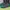 Adidas Luxury Casual Sneakers Pria green photo 3