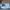 Adidas Sportswear Casual Sneakers Pria navy photo 3