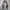 Columbia Gorpcore Sportswear Track jacket Pria white black photo 2