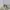 Starter Vintage Y2K Windbreaker Pria white photo 5