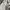 Airwalk Luxury Minimalist Sweatshirt Pria gray photo 4