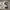 Adidas Casual Casual shoe Pria white photo 3
