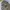Karl Kani Vintage Casual Parka Pria tan photo 4