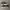 Adidas Sportswear Pria silver photo 3