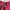 Thrasher Streetwear Skater T-shirt Pria burgundy photo 3