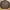 Tommy Hilfiger Y2K Track jacket Pria brown photo 1