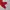 Ed Hardy Y2K Sweatpants & Joggers Pria red photo 4