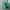 Casual Ankle boots Pria green photo 1