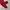 Japanese brand Sportswear Sweatpants & Joggers Pria black red photo 3