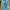 Buckaroo Y2K Casual Jeans Pria blue photo 1