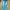 Buckaroo Y2K Casual Jeans Pria blue photo 2