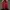 Adidas Casual Track jacket Pria yellow red photo 1
