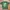 Chase Nascar Y2K T-shirt Pria green photo 3