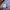 New Balance Streetwear Biker Bag Pria multicolor photo 2
