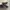 Diadora Sportswear Pria black photo 1