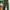 GU Casual Casual pants Pria green photo 2