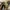 Dr. Martens Vintage Casual Boots Pria brown photo 4
