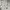 MLB Streetwear Sportswear Track jacket Pria gray photo 4
