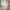 MLB Streetwear Sportswear Track jacket Pria gray photo 8