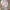 MLB Streetwear Sportswear Track jacket Pria gray photo 1