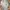 MLB Streetwear Sportswear Track Jacket Pria Gray