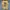 Nike Vintage Sportswear T-shirt Pria yellow photo 2