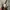 Polo Ralph Lauren Casual Harrington jacket Pria multicolor photo 6