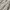 Zara Casual Formal shirt Pria white cream photo 6